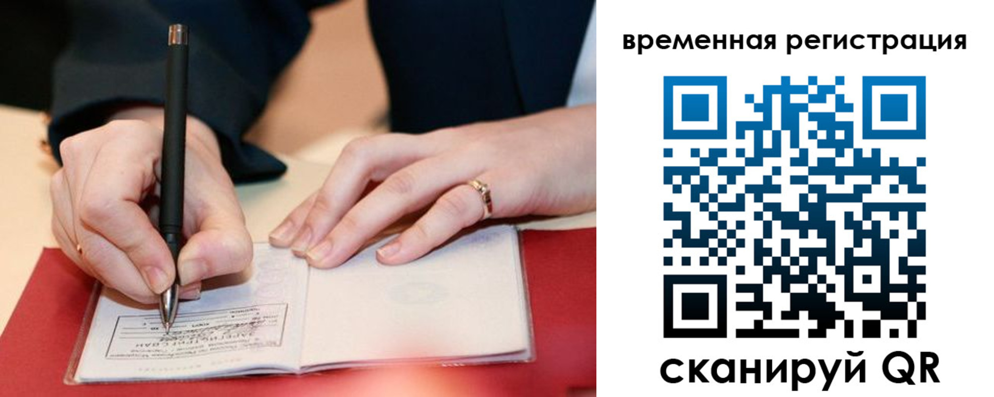 регистрация в Светлогорске