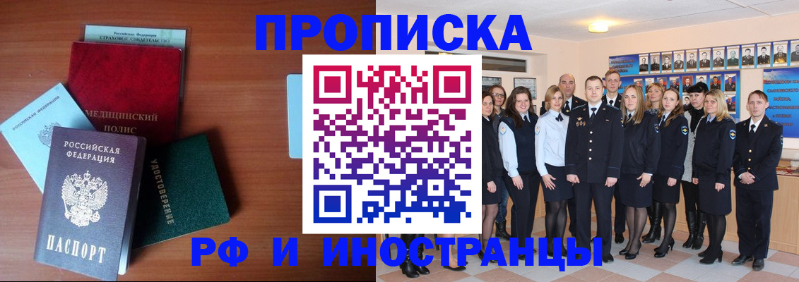 пропишу в квартире в Светлогорске